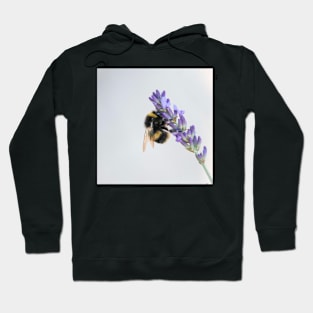 Bumble Bee on Lavendar Hoodie